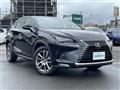 2020 Lexus NX