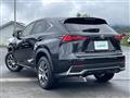 2020 Lexus NX