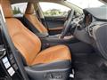 2020 Lexus NX