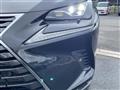 2020 Lexus NX