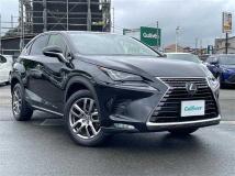 2020 Lexus NX
