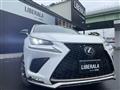 2021 Lexus NX