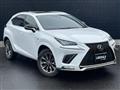 2021 Lexus NX