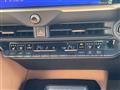 2024 Toyota Crown
