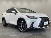 2024 Lexus NX