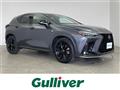 2023 Lexus NX