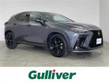 2023 Lexus NX