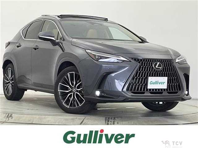 2023 Lexus NX