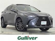2023 Lexus NX