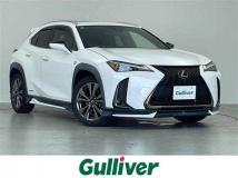 2019 Lexus UX