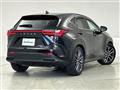 2022 Lexus NX