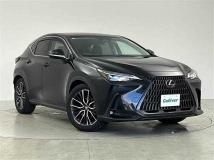 2022 Lexus NX