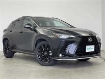 2025 Lexus NX