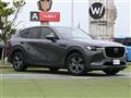 2023 Mazda Mazda Others