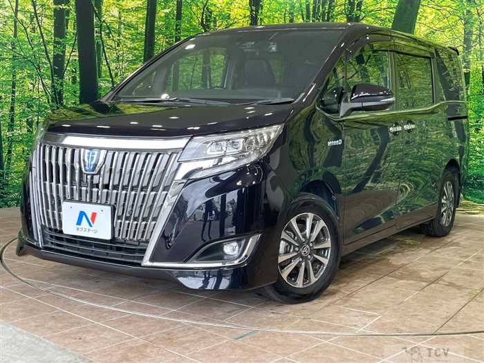 2019 Toyota Esquire