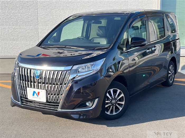 2019 Toyota Esquire