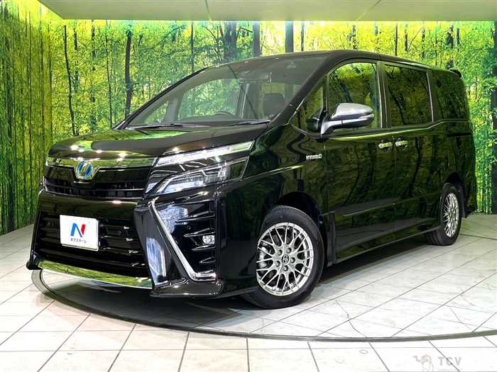 2019 Toyota Voxy