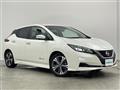 2019 Nissan Leaf