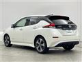 2019 Nissan Leaf