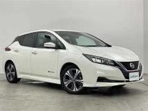 2019 Nissan Leaf
