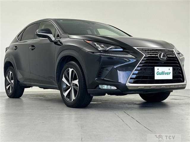 2019 Lexus NX