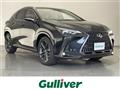 2025 Lexus NX