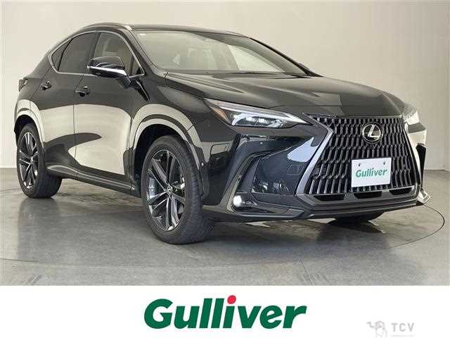 2025 Lexus NX