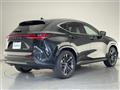 2025 Lexus NX