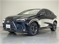 2025 Lexus NX