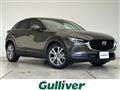 2019 Mazda CX-3