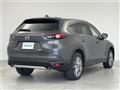 2019 Mazda CX-8