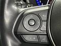 2019 Toyota Corolla Sports
