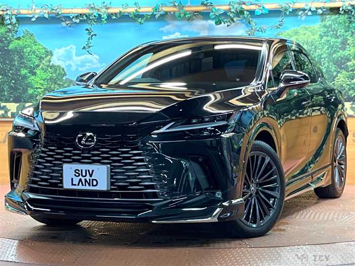 2024 Lexus RX