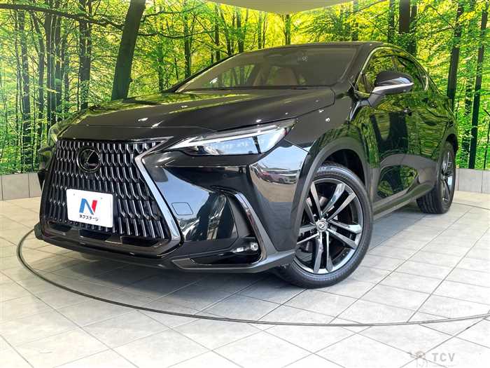 2022 Lexus NX