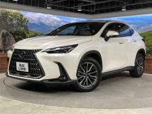 2023 Lexus NX