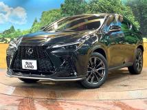 2022 Lexus NX
