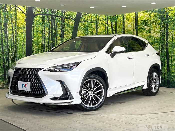 2023 Lexus NX