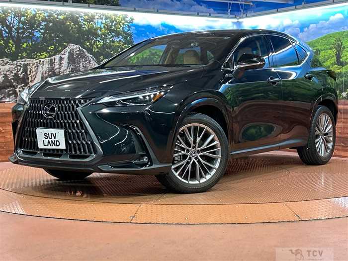 2023 Lexus NX