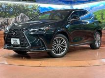 2023 Lexus NX