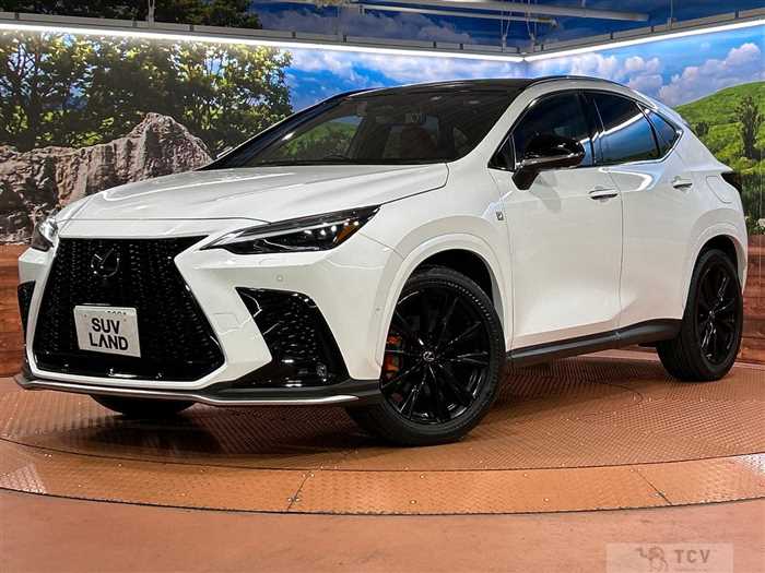 2023 Lexus NX