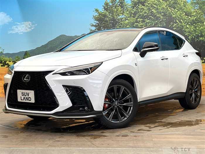 2023 Lexus NX