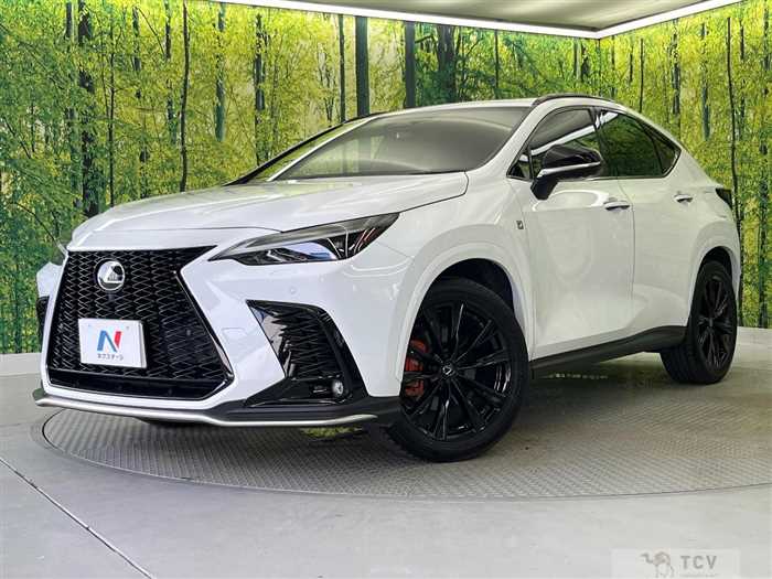 2023 Lexus NX