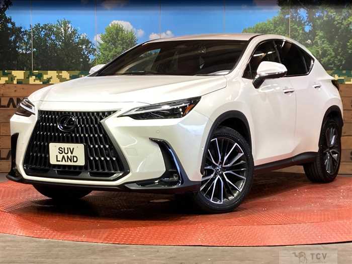 2023 Lexus NX