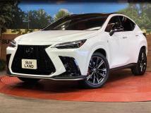 2023 Lexus NX