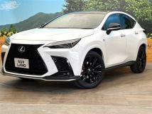 2024 Lexus NX