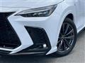 2024 Lexus NX