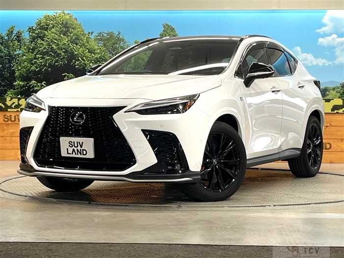 2024 Lexus NX