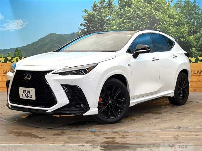 2024 Lexus NX
