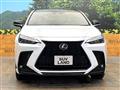 2024 Lexus NX