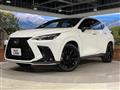 2024 Lexus NX